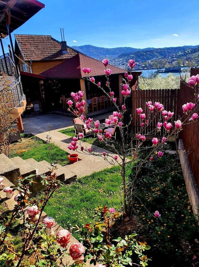 Casa Ostrov Hotel Calimanesti Exterior photo