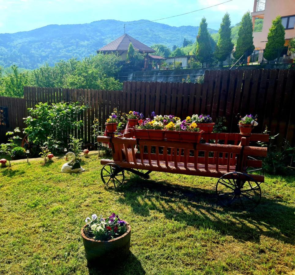 Casa Ostrov Hotel Calimanesti Exterior photo